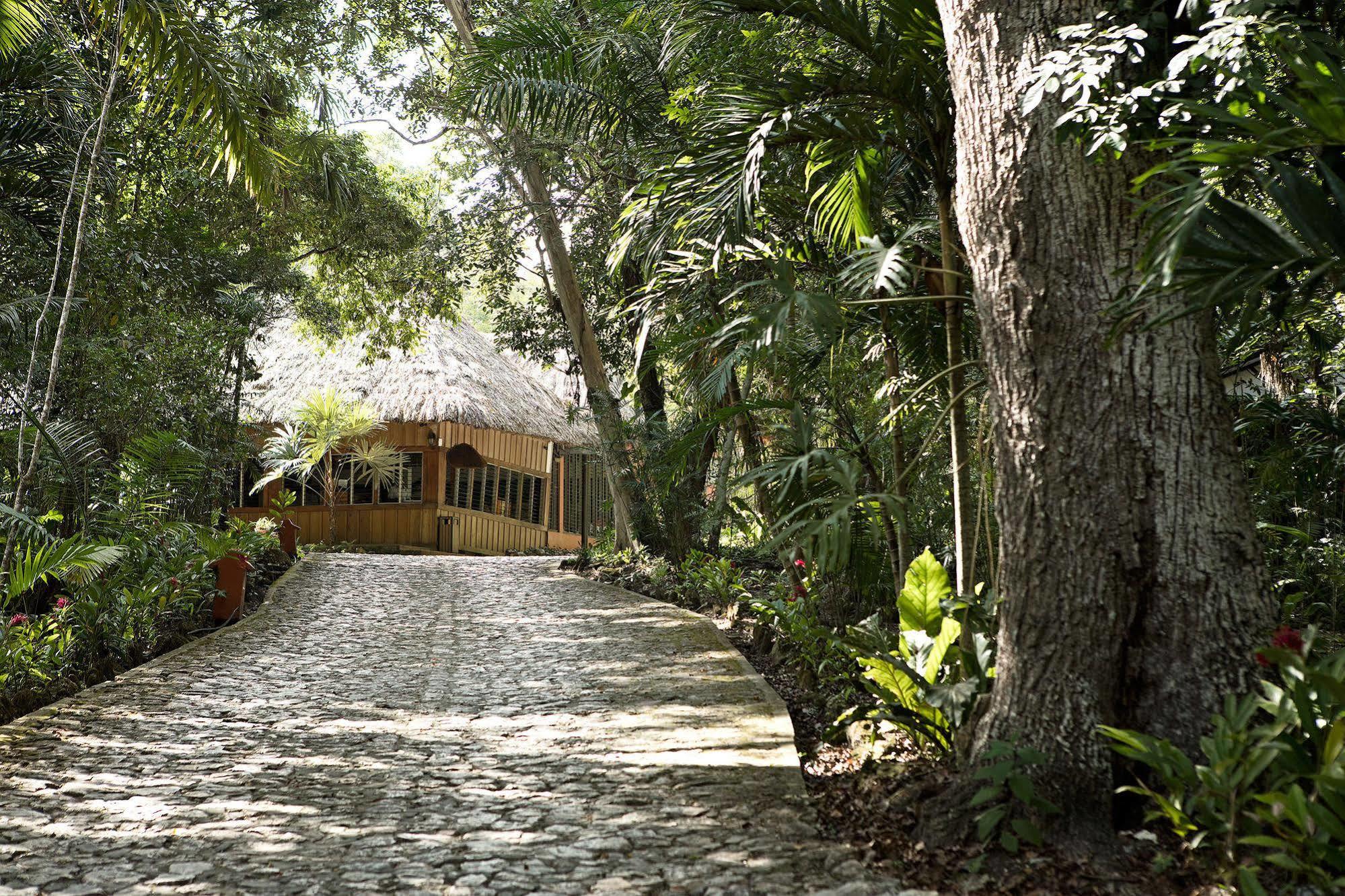 Hotel Jungle Lodge Tikal Esterno foto
